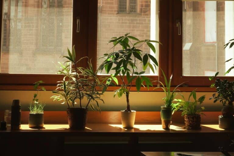 Indoor plant grow lights